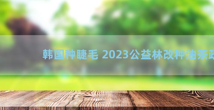 韩国种睫毛 2023公益林改种油茶政策